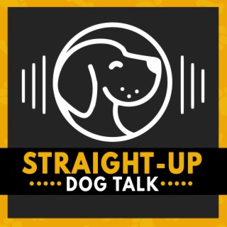 Episode 15 - Rescuing a Heart Worm Positive Dog, Treatment and Recovery with Molly - Polo