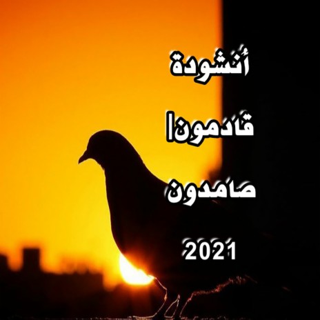 انشودة قادمون|صامدون 2021 | Boomplay Music