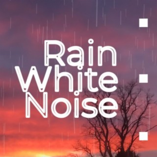 Rain White Noise For Sleep, Study, Relaxation 12 Hours