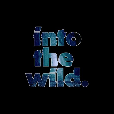 Into The Wild | Boomplay Music