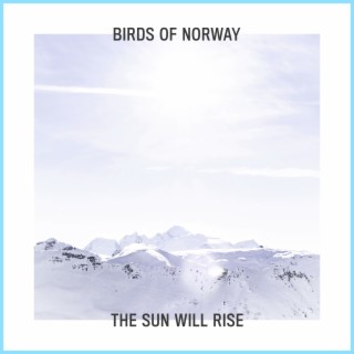 Birds of Norway