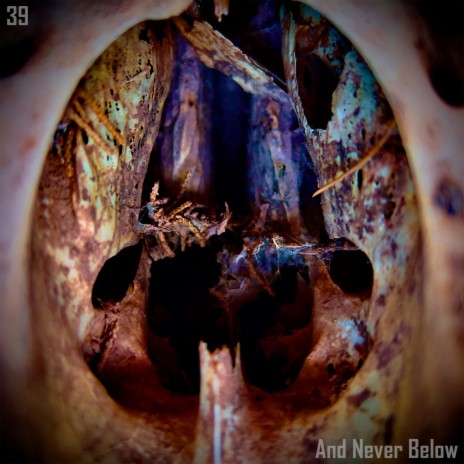 39 And Never Below | Boomplay Music