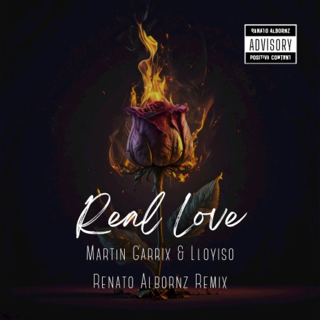 Real Love (Remix) ft. Lloyiso & Martijn Garritsen | Boomplay Music