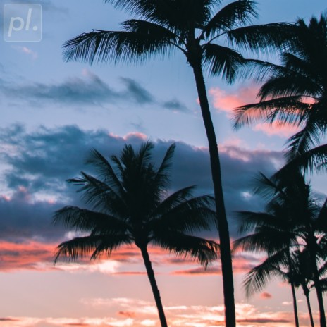 Palm Trees in Paradise | Boomplay Music