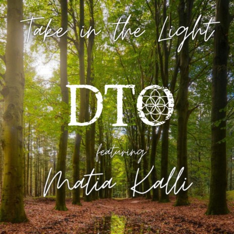 Take in the Light ft. Matia Kalli | Boomplay Music