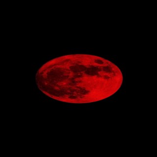 red moon freestyle