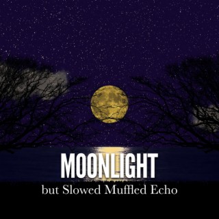 Moonlight but Slowed Muffled Echo
