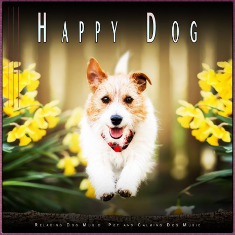 Help My Dog Fall Asleep ft. Dog Music Dreams & Dog Music | Boomplay Music