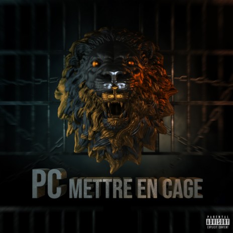 Mettre en cage | Boomplay Music