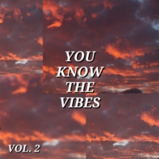 You Know The Vibes (,Vol. 2)