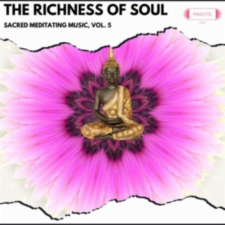 The Richness of Soul: Sacred Meditating Music, Vol. 5