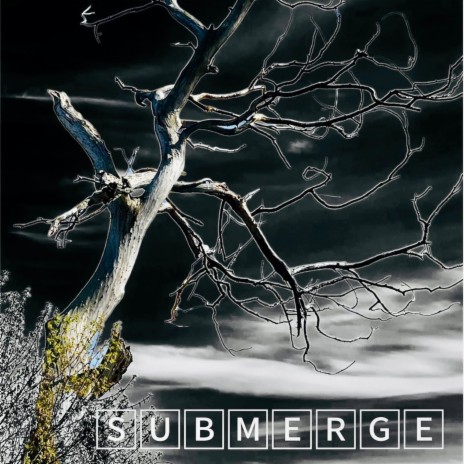 SubMerge | Boomplay Music