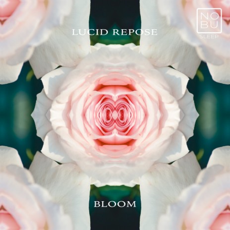 Bloom | Boomplay Music