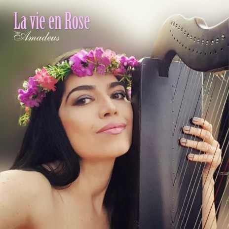 La vie en rose (Live) ft. Marcelle | Boomplay Music