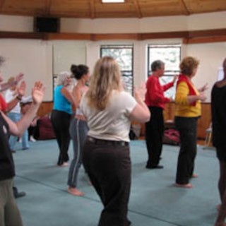 Professional Qigong and Tai Chi Teacher Certification: A Discussion with Dr. Roger Jahnke
