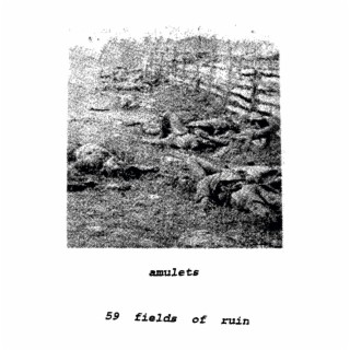 59 Fields of Ruin