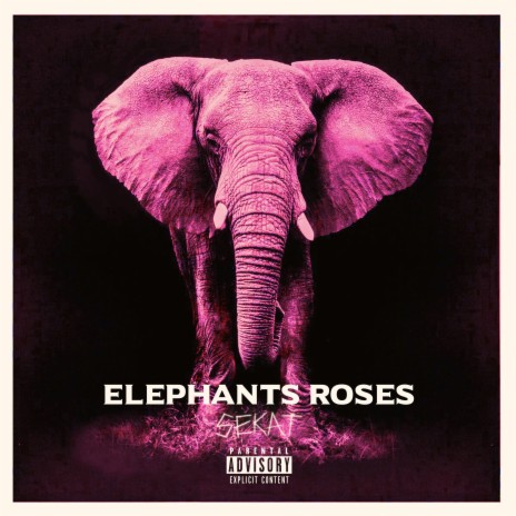 Eléphants Roses | Boomplay Music