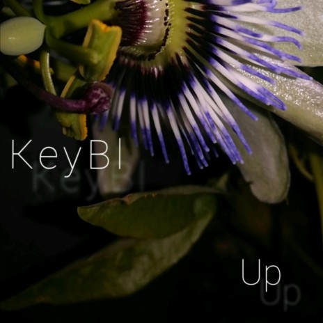 Up | Boomplay Music