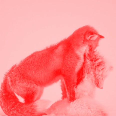 red fox | Boomplay Music