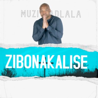 Zibonakalise