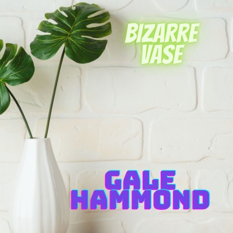 Bizarre Vase | Boomplay Music