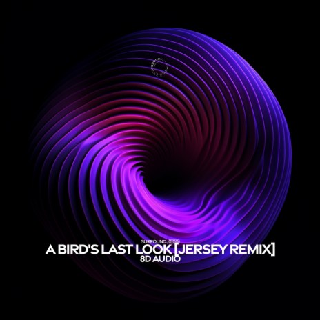 a bird's last look (8d audio jersey remix) ft. (((()))) | Boomplay Music