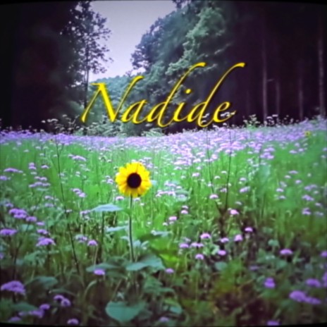 Nadide | Boomplay Music