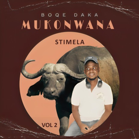 STIMELA | Boomplay Music