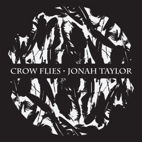 Crow Flies | Boomplay Music