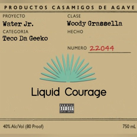 Liquid Courage ft. Water Jr. & TecoDaGeeko | Boomplay Music