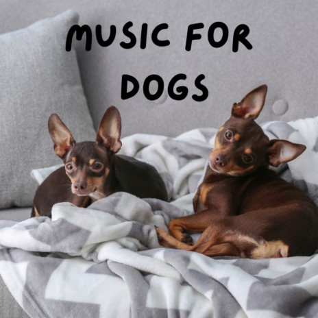 Bark Tracks ft. Calm Pets Music Academy, Music For Dogs & Music For Dogs Peace | Boomplay Music