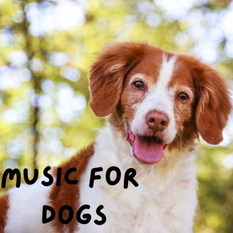 Time of Relaxation ft. Music For Dogs Peace, Relaxing Puppy Music & Calm Pets Music Academy | Boomplay Music