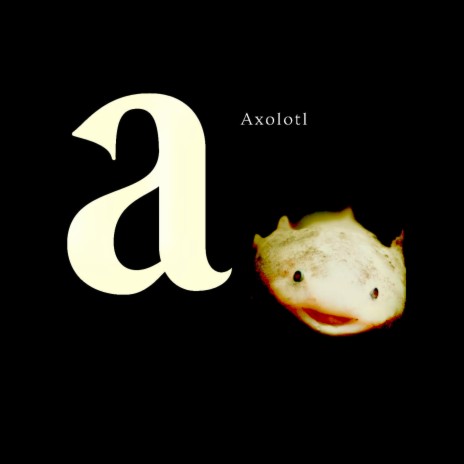 Axolotl | Boomplay Music