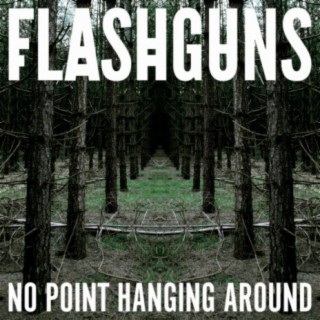 Flashguns