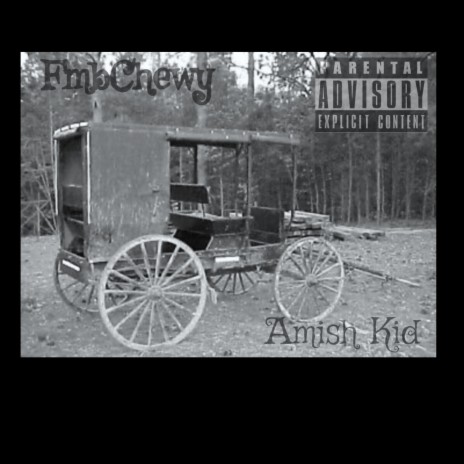 Amish Kid | Boomplay Music
