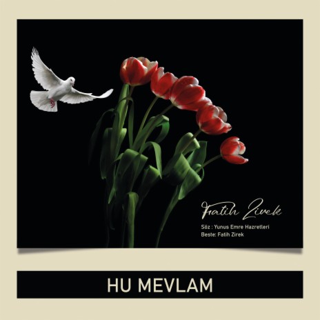 Hu Mevlam | Boomplay Music