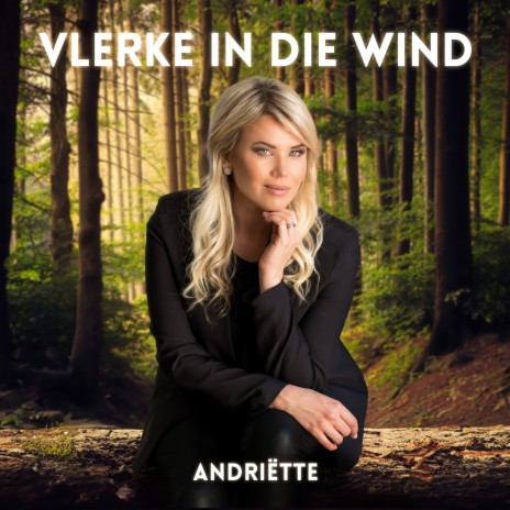 Vlerke In Die Wind | Boomplay Music