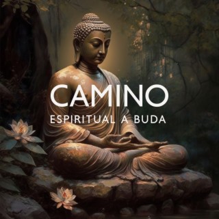 Camino Espiritual a Buda: Conciencia de la Respiración, Visualización Profunda