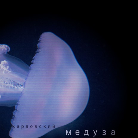 Медуза | Boomplay Music