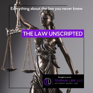 Episode 13: What happens when you are charged with a crime? Part 2 - felonies
