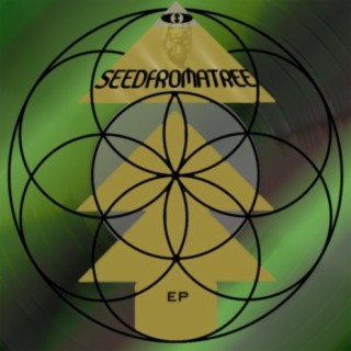 Seedfromatree