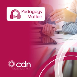 Episode 19: Pedagogy Matters with Walter Patterson - Digital Capability Research