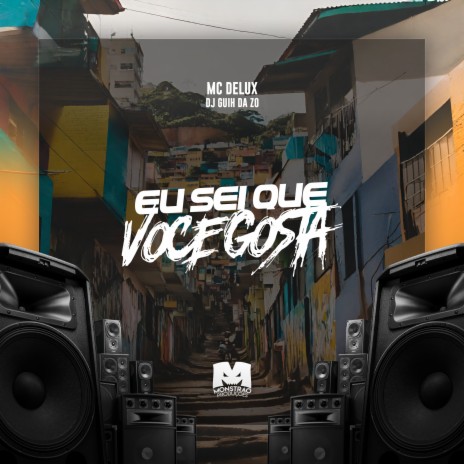 Eu Sei Que Voce Gosta ft. DJ Guih da ZO | Boomplay Music