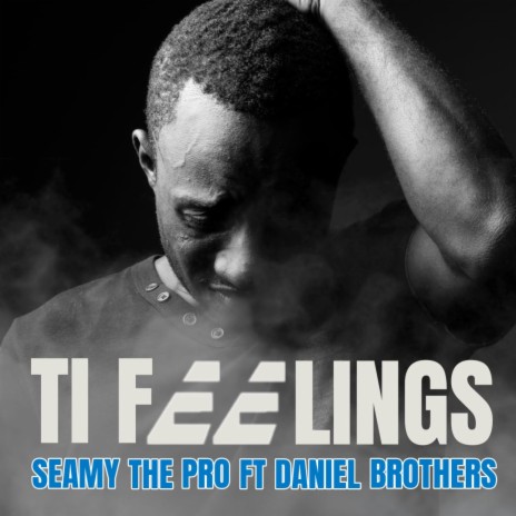 Ti Feelings ft. Seamy The Pro & Daniel Brothers | Boomplay Music