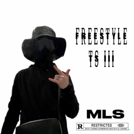 Freestyle TS#3 | Boomplay Music