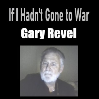 If I Hadn't Gone to War