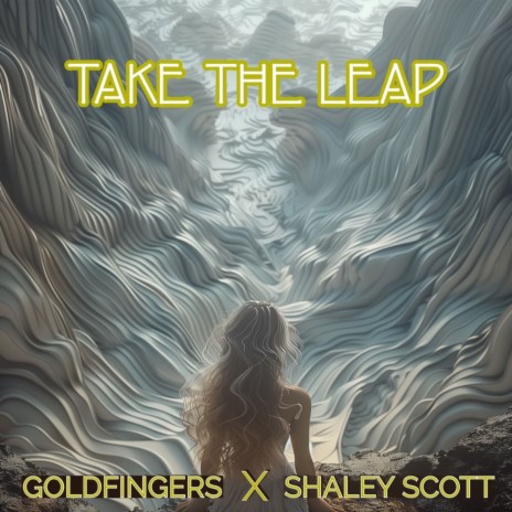 Take The Leap (Craig J. Snider's Instrumental Deep & Dark Mix) ft. Shaley Scott | Boomplay Music