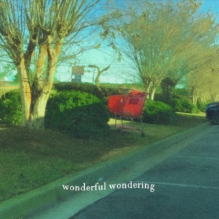 Wonderful Wondering (Full Beat Tape)