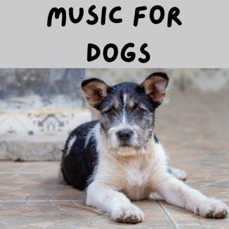 Barking at the Moon ft. Music For Dogs Peace, Relaxing Puppy Music & Calm Pets Music Academy | Boomplay Music