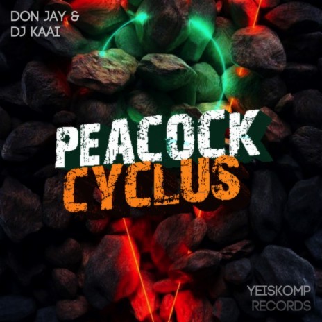 Peacock Cyclus (Original Mix) ft. DJ KAAI | Boomplay Music